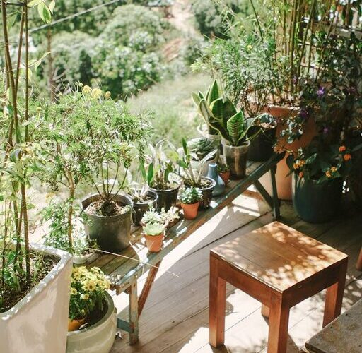 Tips for Creating a Relaxing Home Garden Space